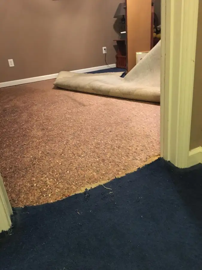 Carpet pad removal revealing water damage during Water Mitigation Services in North Merritt Island