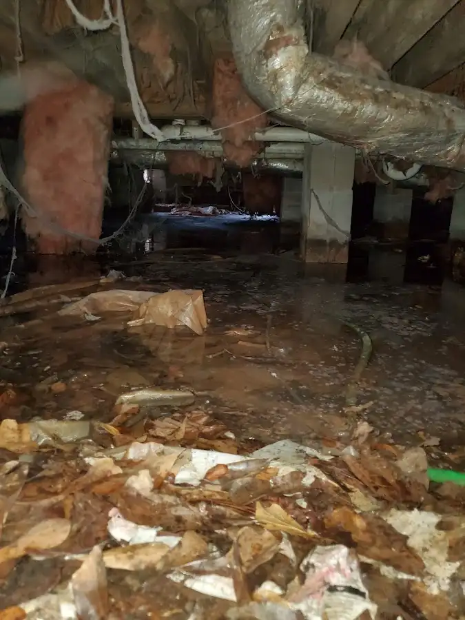 Crawl space flood assessment for Leak Detection & Repair in North Merritt Island
